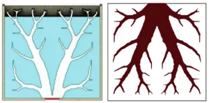9 Schematic diagram of the innovative tree-shaped metal structure.